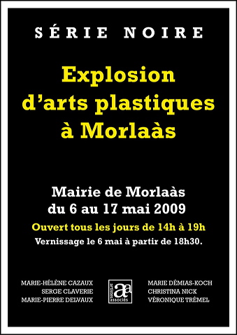 affiche_sn.jpg